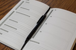 Week view Panda Planner _ Zainey Laney